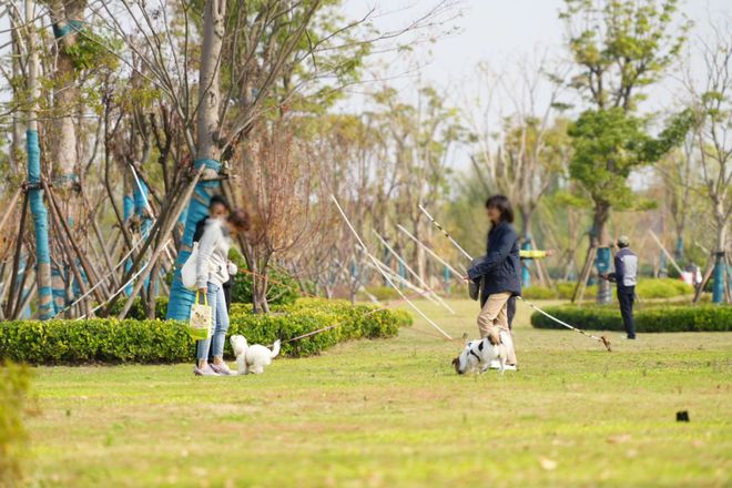 @象屿天誉蘭香售楼处电话:顶奢生活之选PG电子麻将胡了2模拟器十一月百度热搜(图26) @象屿天誉蘭香售楼处电话:顶奢生活之选PG电子麻将胡了2模拟器十一月百度热搜(图26)